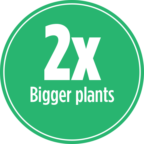 Twice bigger plants with PRO-MIX ORGANIC BONE MEAL BLOOMBOOST 4-7-0