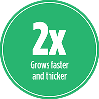 Grows your lawn 2x faster and thicker with PRO-MIX LAWN WEED DEFENSE GRASS SEED