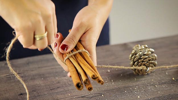 Choose 5 cinnamon sticks and wrap them together with the rope.