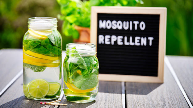 Mosquito repelling candles diy