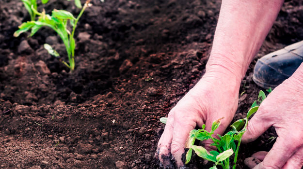 5 benefits to working in soil
