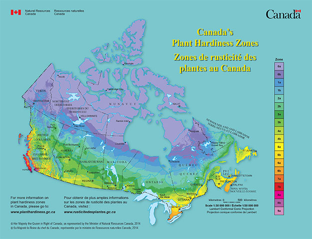 Plant Hardiness Zones Canada
