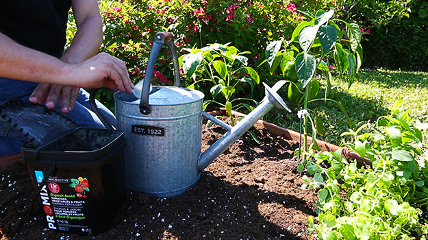 How to use fertilizers when growing vegetables