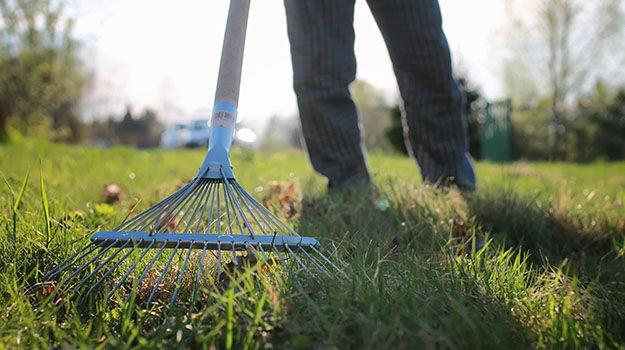 Why You Need To Rake Your Lawn?