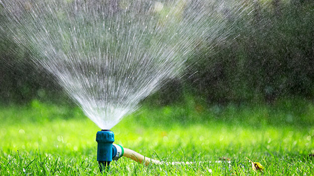 Watering tip for your new lawn