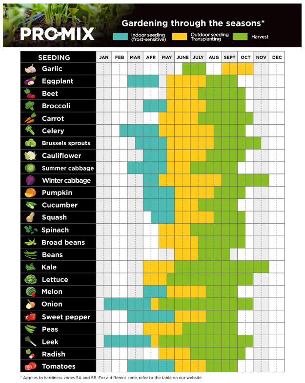 promix-starting-vegetable-seeds-indoors-complete-guide-tableau-02-en