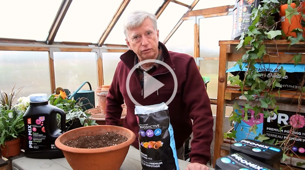 How to fertilize organically