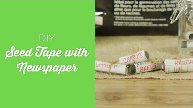 Embedded thumbnail for Newspaper seed tape