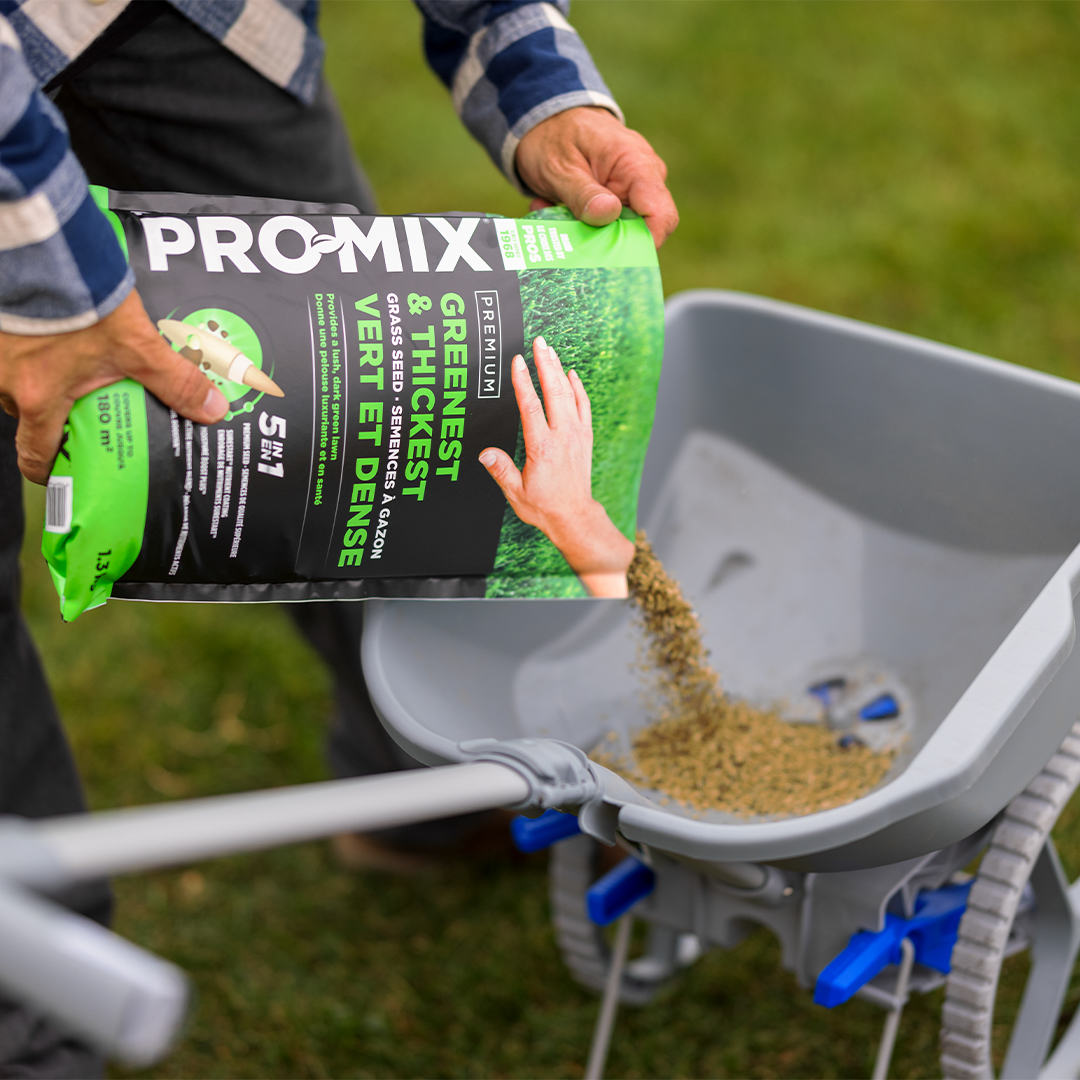 PRO-MIX Greenest & Thickest Grass Seed | PRO-MIX Lawn Care