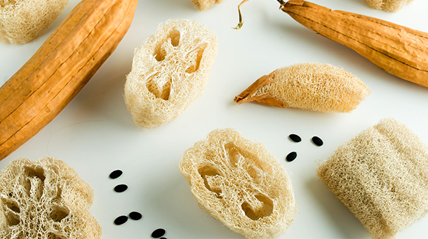 Luffa