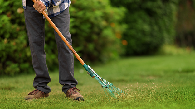 Where do beneficial insects hide in the garden?