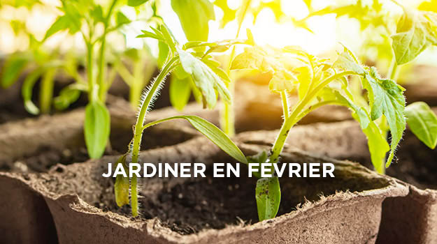 Jardiner en Février