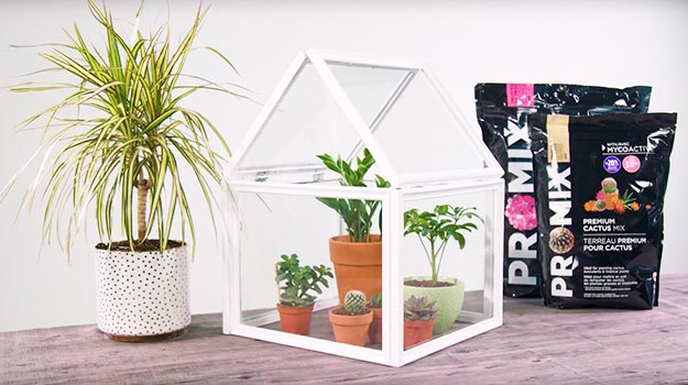 Promix_gardening_DIY_Greenhouse_header