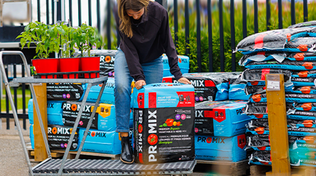 buying-potting-mix-mistakes-to-avoid-03-ca