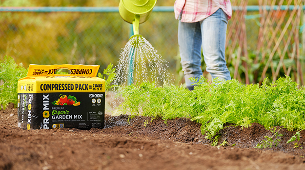 buying-potting-mix-mistakes-to-avoid-01-2