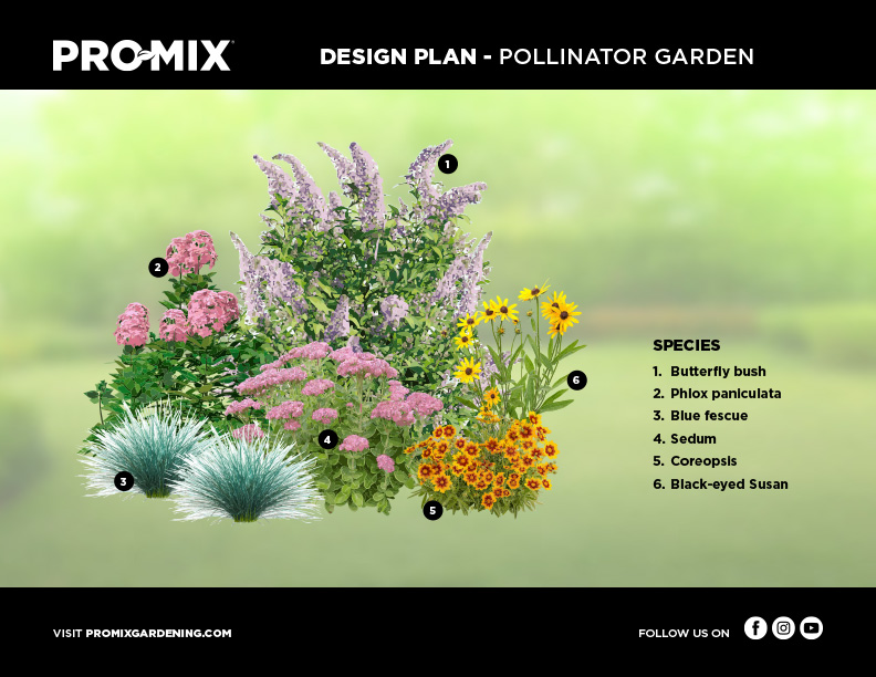 design-plan-pollinator-garden-en