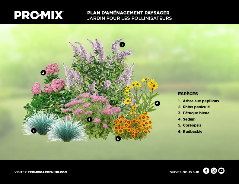 design-plan-pollinator-garden-fr