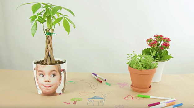 Funny photo planter DIY Video