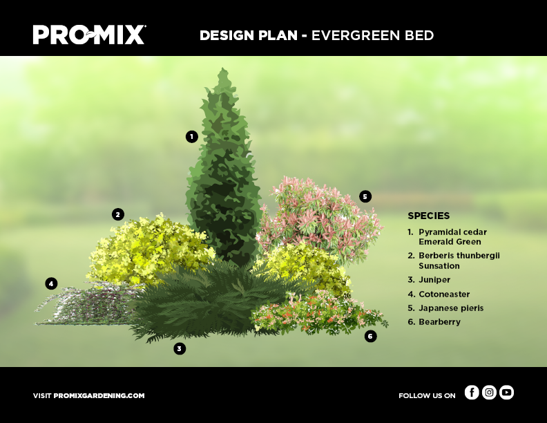 evergreen-design-plan