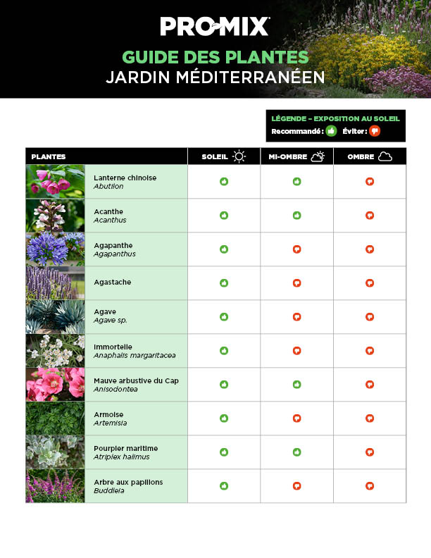 guide-plantes-mediterraneennes-01