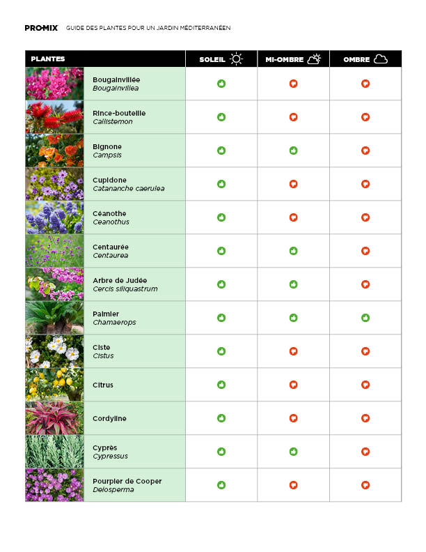 guide-plantes-mediterraneennes-02