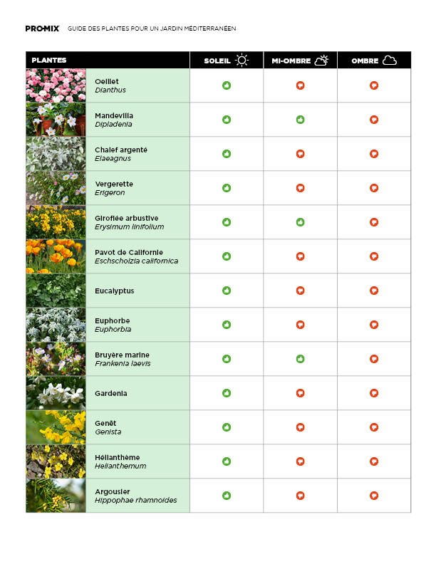 guide-plantes-mediterraneennes-03