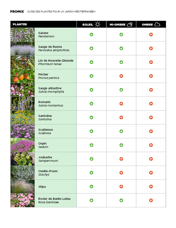 guide-plantes-mediterraneennes-05