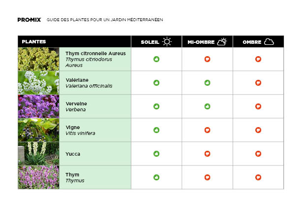 guide-plantes-mediterraneennes-06