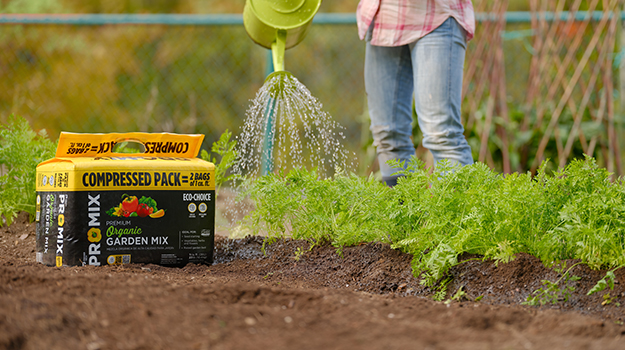 buying-potting-mix-mistakes-to-avoid-05-us