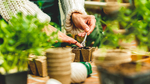 Root booster fertilizer: what it is, why it works and how to use it