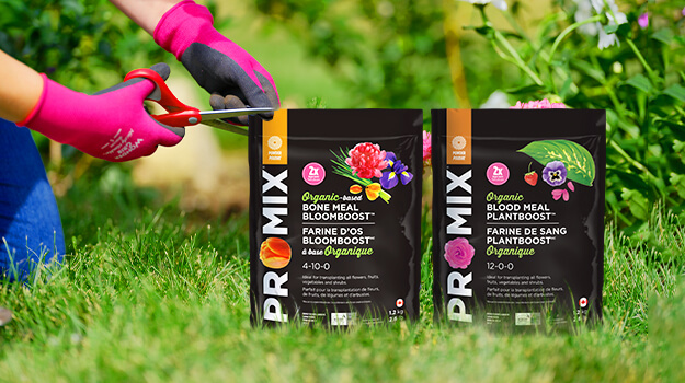 pro-mix-bonemeal-vs-bloodmeal-when-to-use-01