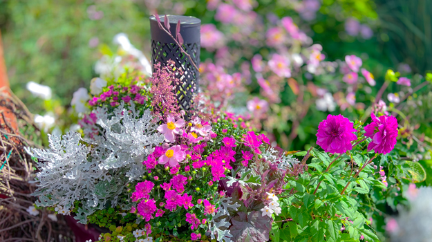 Fall decor: give your flowering containers a second life