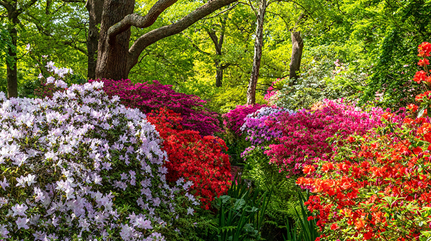 pro-mix-gardening-trends-16