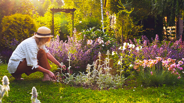 What is the best thing to plant in sandy soil?