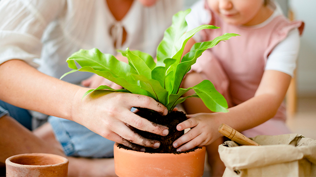 PMXGardening_Web_Article_5-Indoor-Garden-Crafts-Make-With-Your-Kids-This-Winter_625x350_01