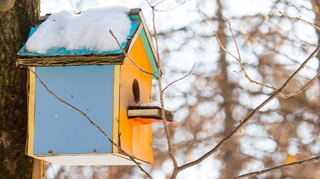 PMXGardening_Web_Article_5-Indoor-Garden-Crafts-Make-With-Your-Kids-This-Winter_625x350_03