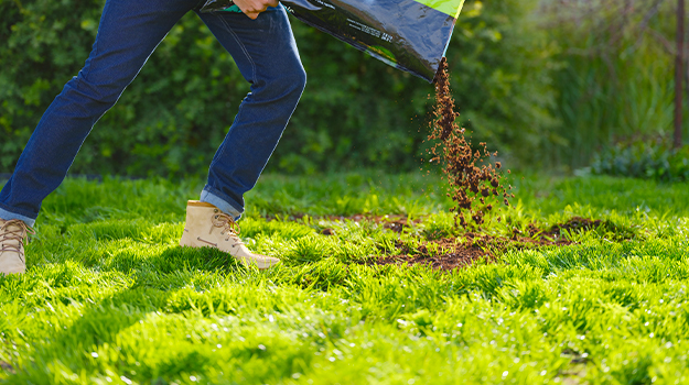Can You Add Peat Moss To Your Lawn?