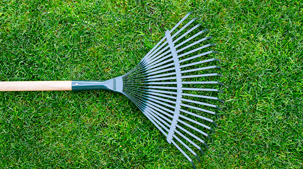 How to Revive Your Lawn This Spring