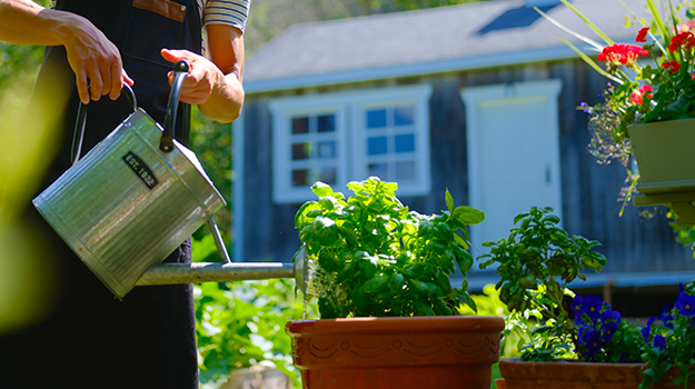 Cultiver un potager en pots