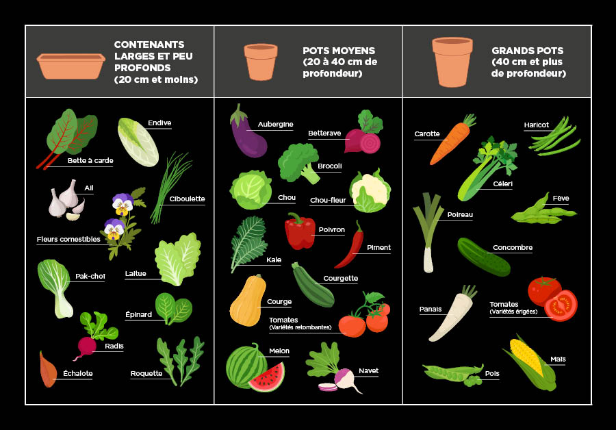 Cultiver un potager en pots