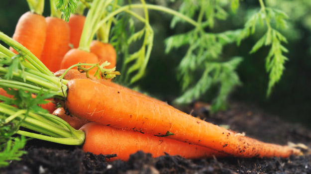 How To Grow Carrots