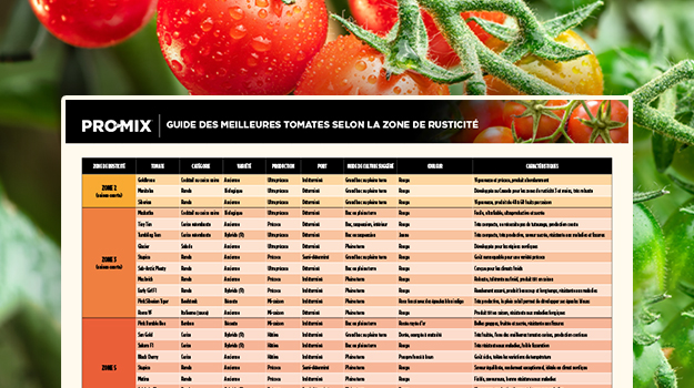 pro-mix-best-tomatoes-by-hardiness-zone-13-fr