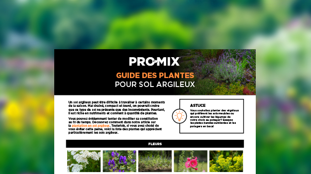 pro-mix-clay-soil-gardening-tips-Fr