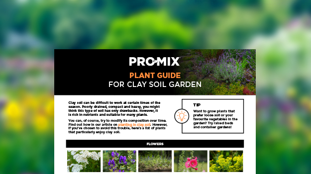 pro-mix-clay-soil-gardening-tips-en-us