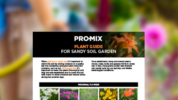 pro-mix-how-to-grow-in-sandy-soil-en-us
