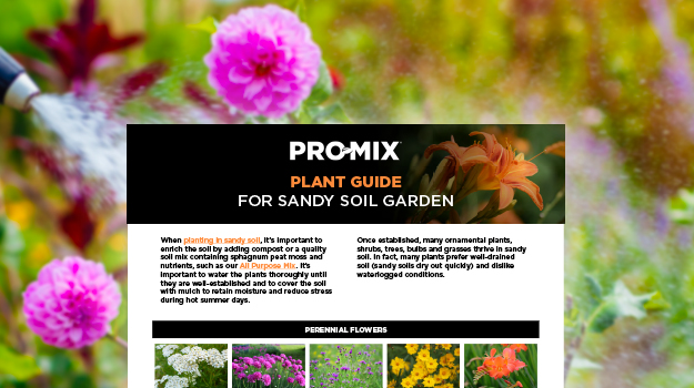 pro-mix-how-to-grow-in-sandy-soil-en