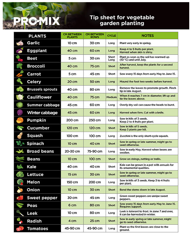 promix-Comment-faire-petit-potager-haut-rendement-en-02