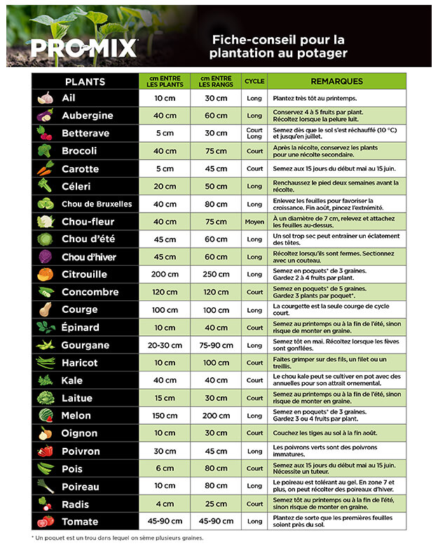 promix-Comment-faire-petit-potager-haut-rendement-en-02