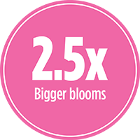2.5x bigger blooms with PRO-MIX PREMIUM ORGANIC BASED GARDEN FERTILIZER FLOWER BOOST 12-28-12