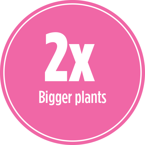 2x Bigger Plants with PRO-MIX BLOOD MEAL PLANTBOOST 8-0-0